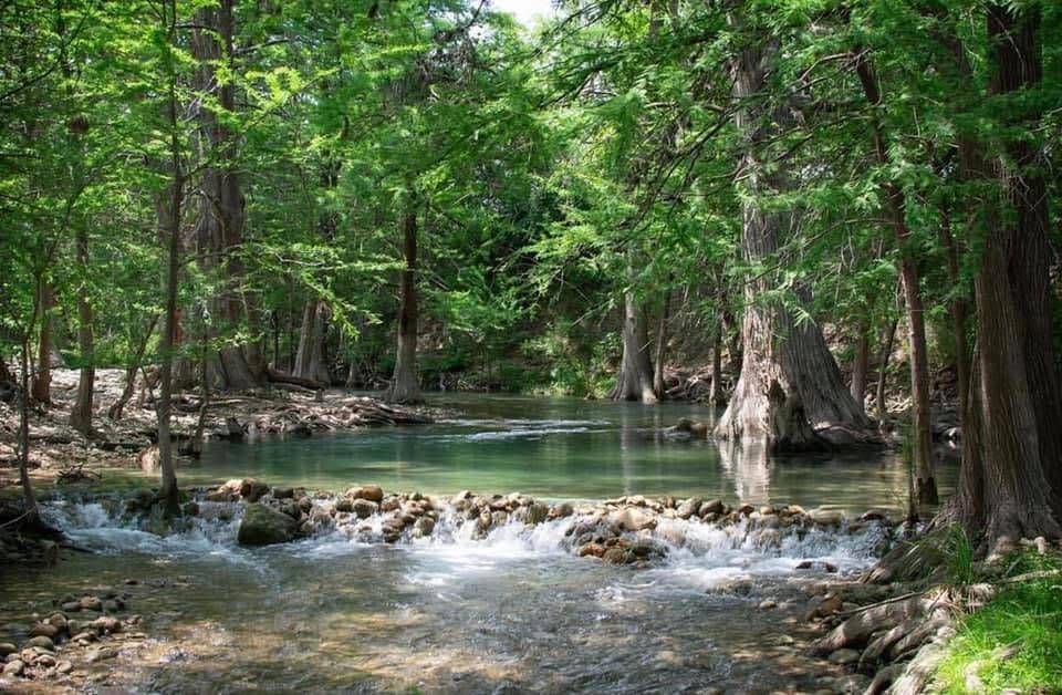 Clear green water of the Sabinal River rushing over a small rock rapid through cypress trees
