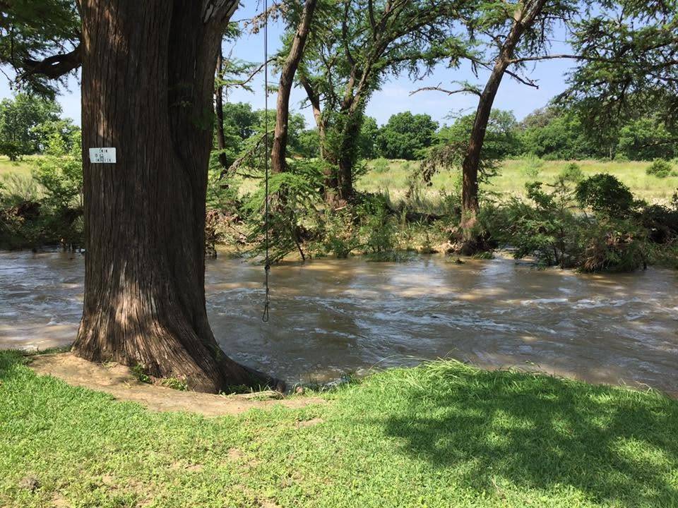 A rope swing hanging from a cypress tree over the high, flowing Sabinal River