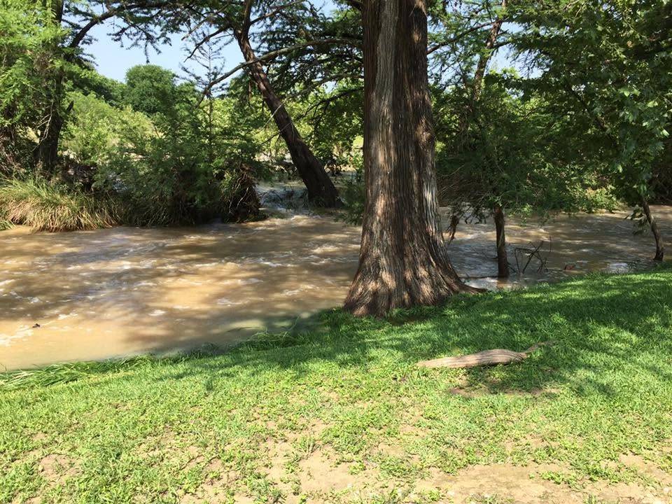 A quiet riverside bench overlooking the calm winter waters of the Sabinal River