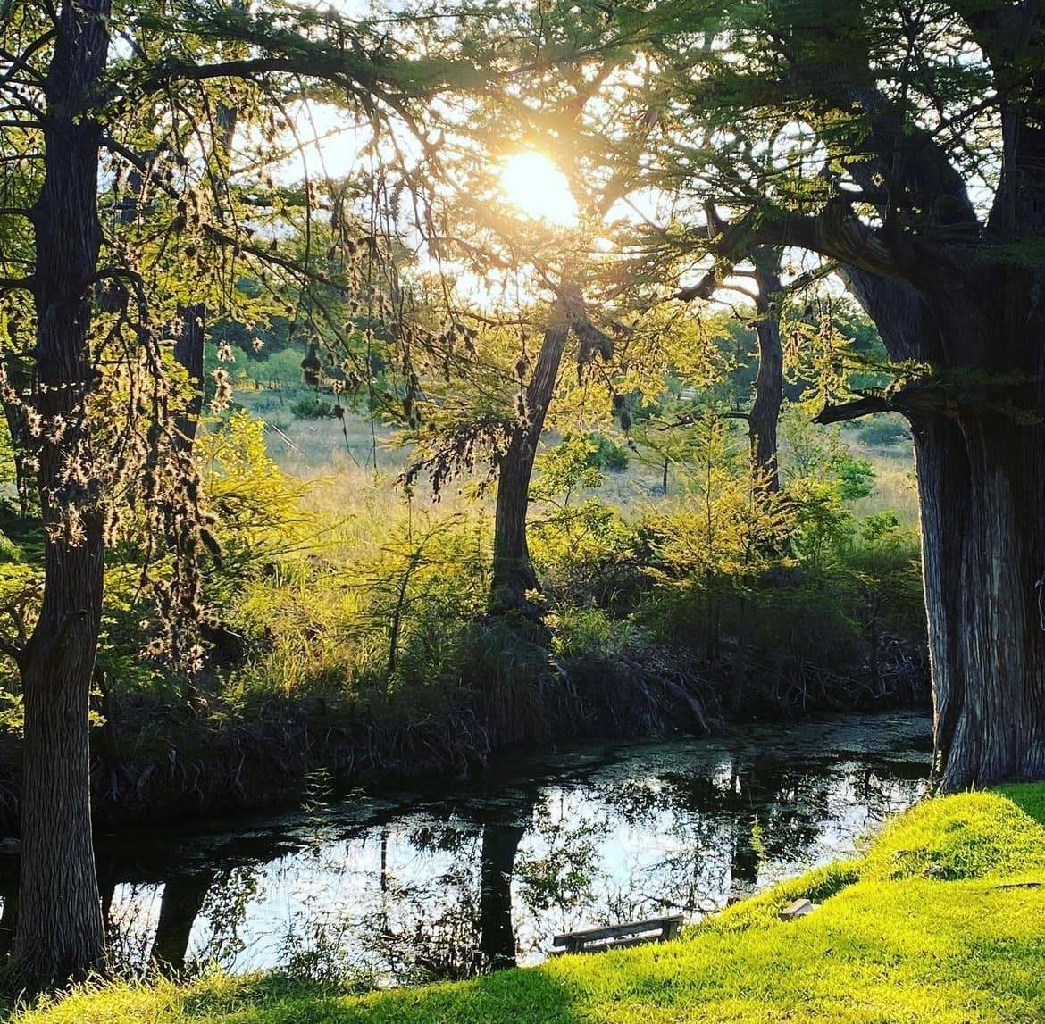 Sunset light through cypress trees on the Sabinal River, a favorite spot for on-site fishing